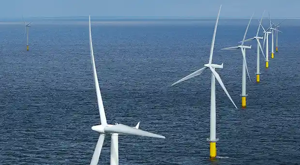 Photo of someone holding a book